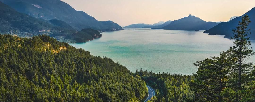 A stylish flat lay of contact items like a phone and notebook.