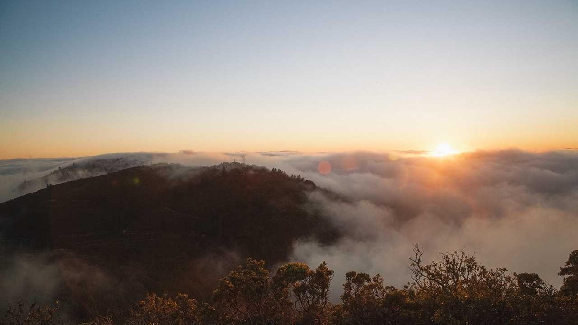 Elegant fashion accessories displayed on a dark background.